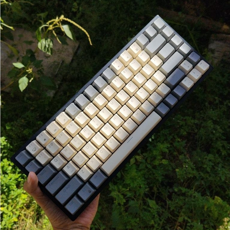 PRELOVED KEYBOARD REXUS DAXA M84 PRO