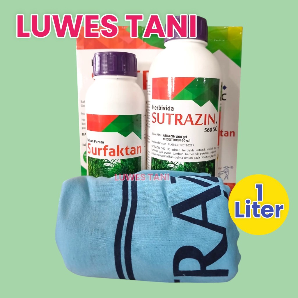 Sutrazin 560 SC (1 Liter) (BESAR) herbisida selektif jagung sutrazin