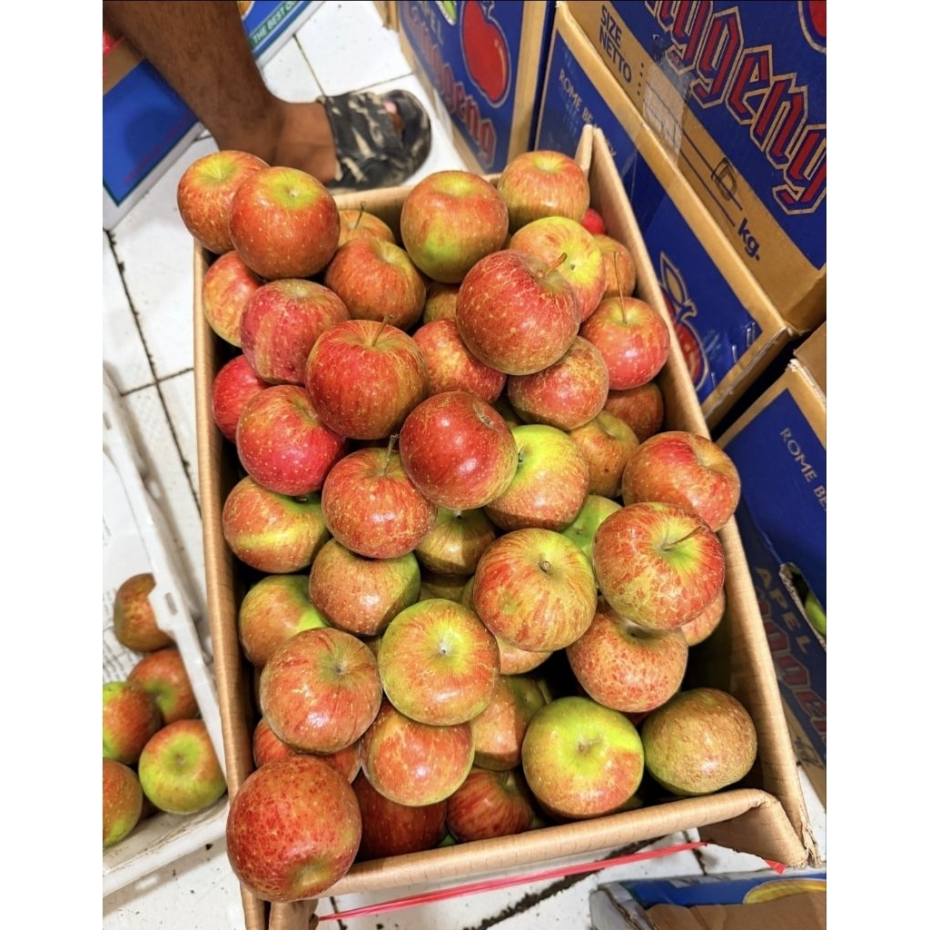 apel rome beauty/ apel malang/ apel batu malang