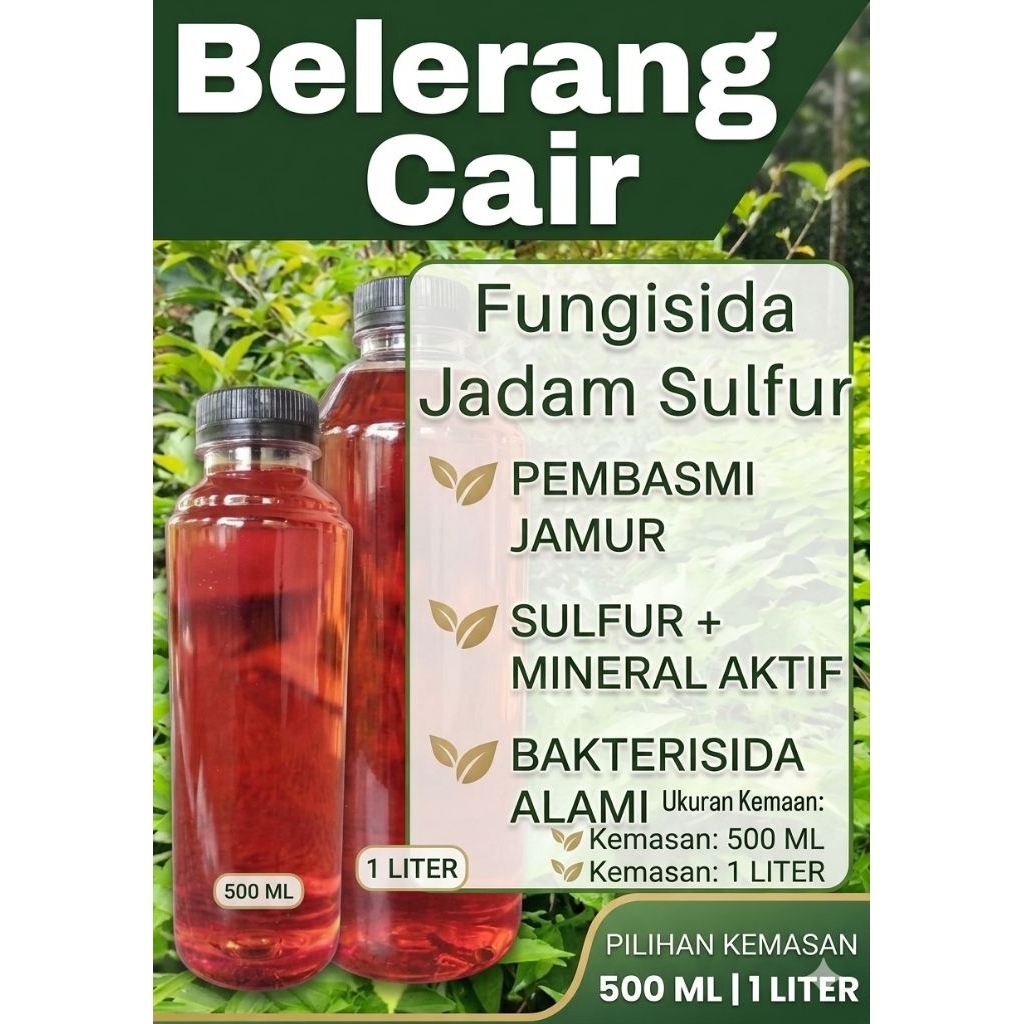 belerang cair / jadam sulfur