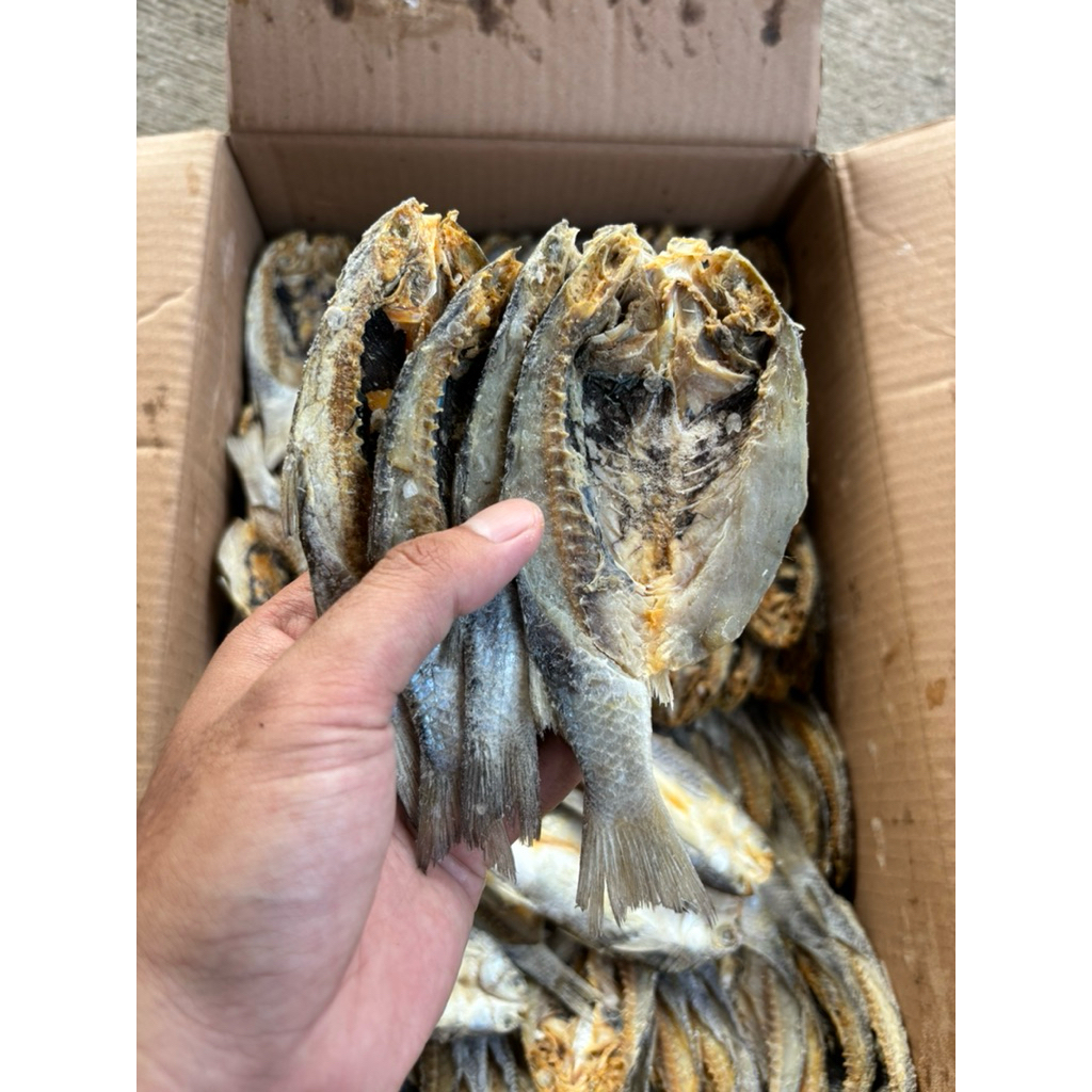 Ikan Asin Belanak Belah Kering