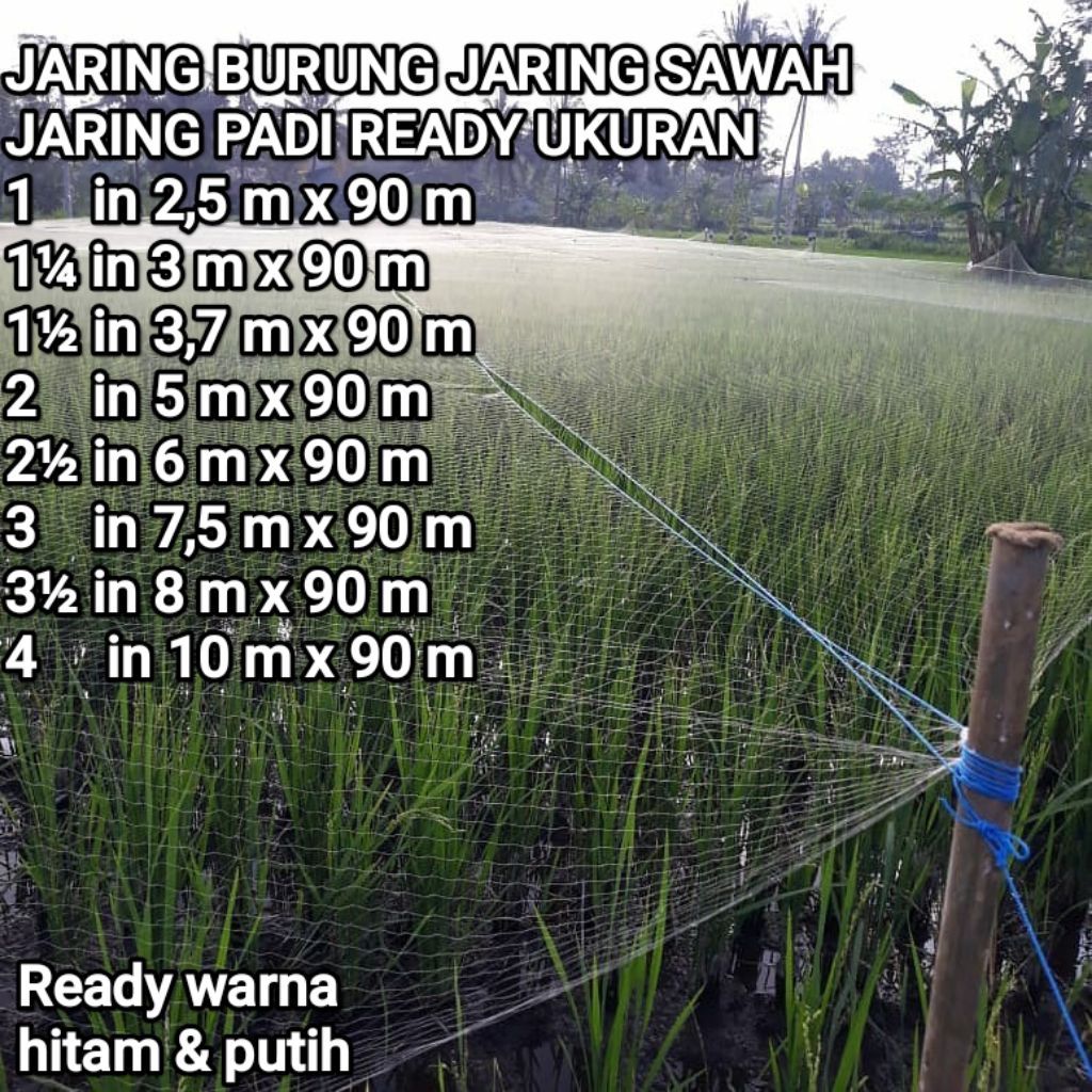 JARING BURUNG JARING SAWAH JARING PADI UKURAN LENGKAP JARING PENGAMAN PADI