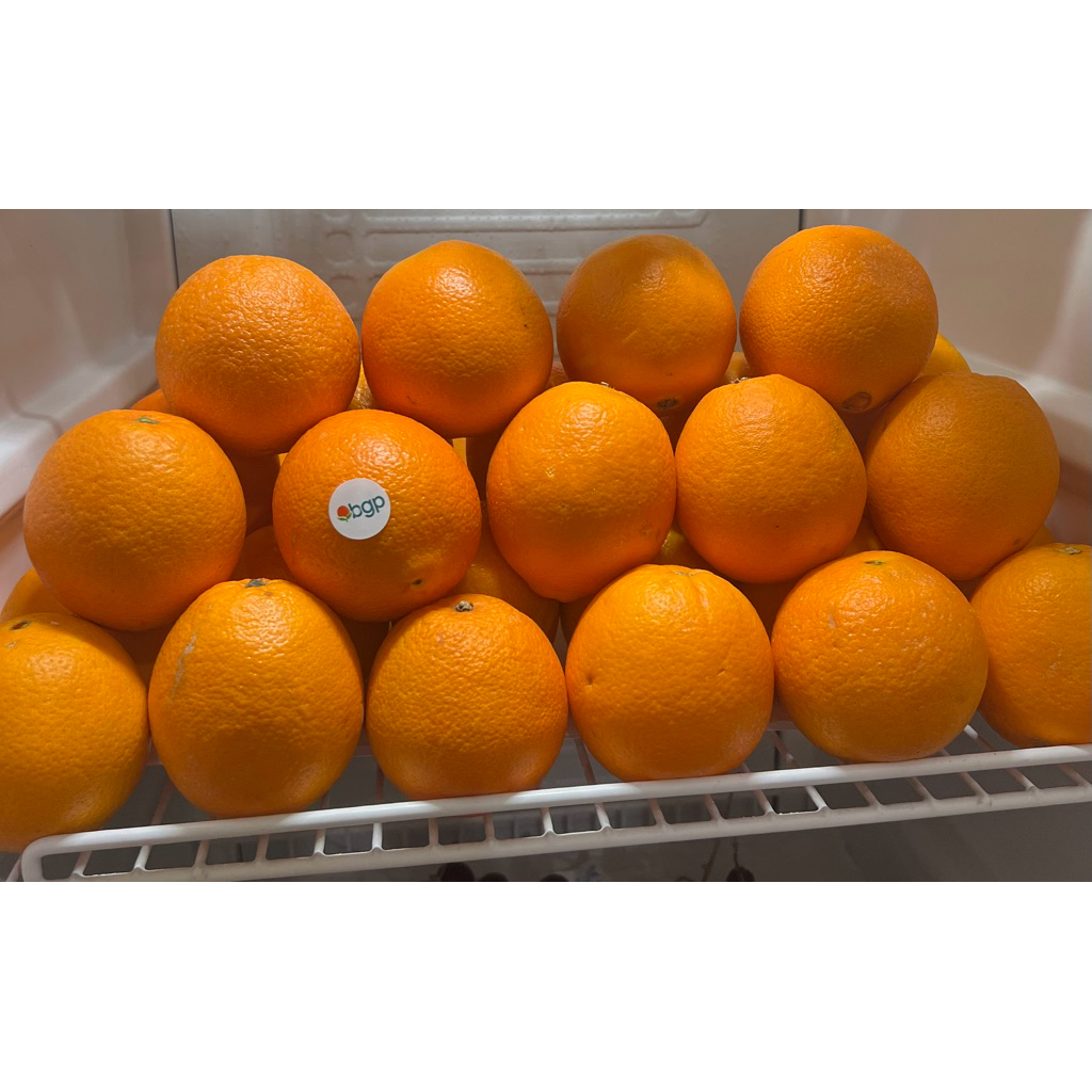 Jeruk Sunkist 1KG