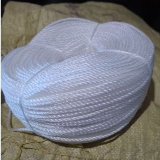 1 METER TALI 3MM TALI PLASTIK PE 3MM PUTIH TALI JEMURAN