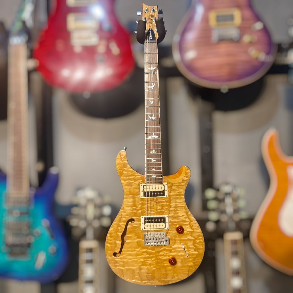 PRS SE Exotic Custom 22 Semi Hollow Swamp Ash Quilt Limited Edition
