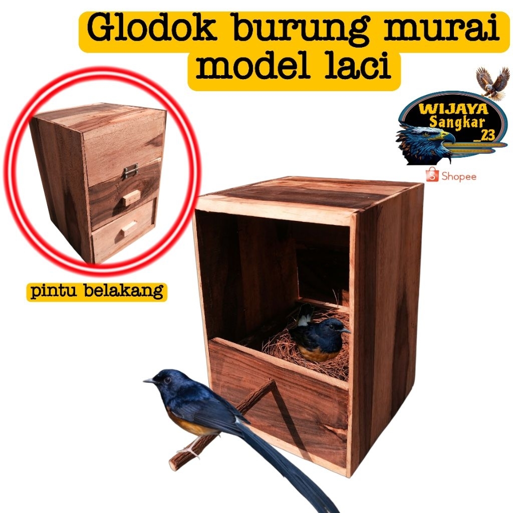 Glodok burung murai kacer glodok laci pintu belakang kayu sonokeling bonus serat cemara