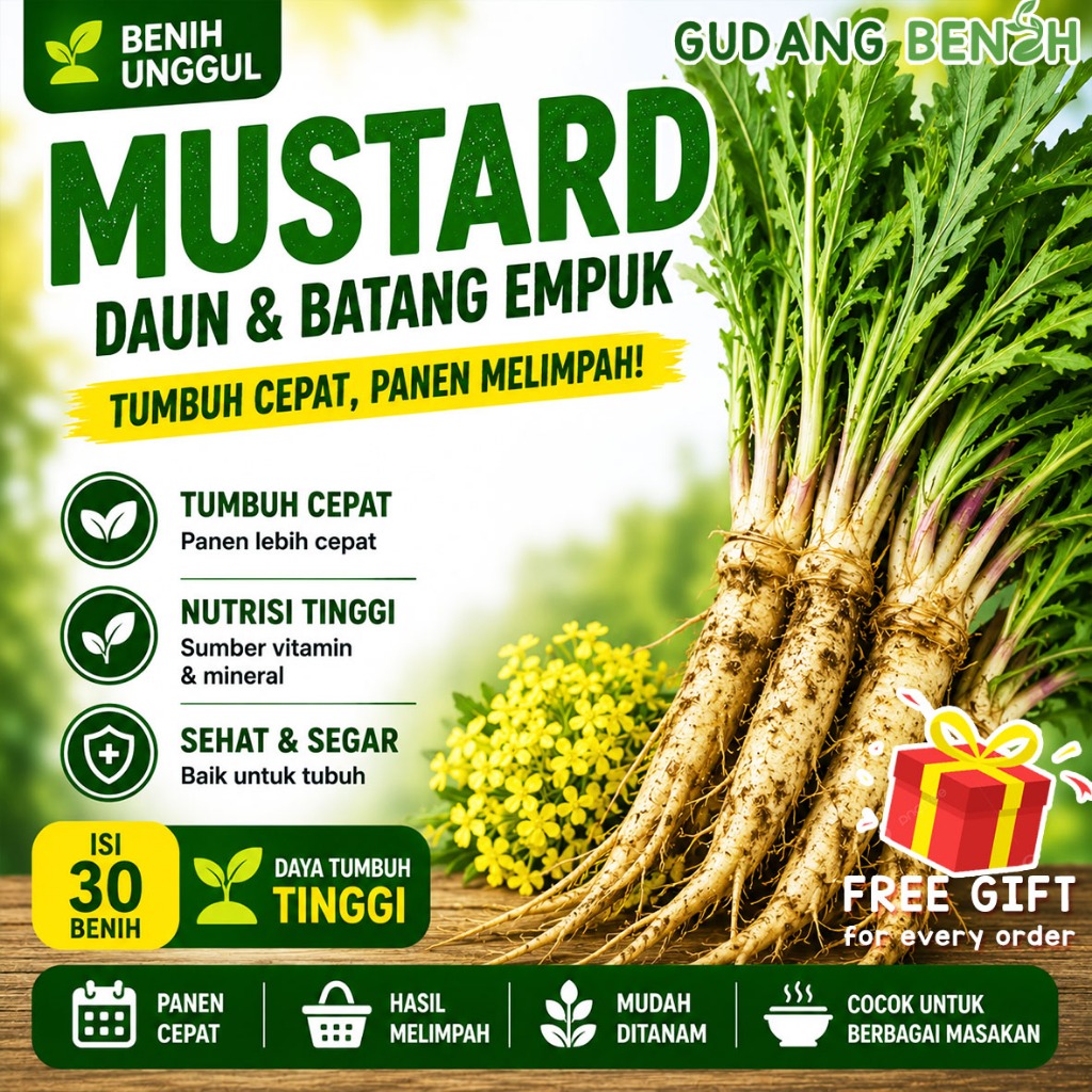 Bibit Sayuran / Bibit Sayur / Tanaman Mustard Premium Isi 30 Benih /Bibit Sayuran Lengkap / Benih