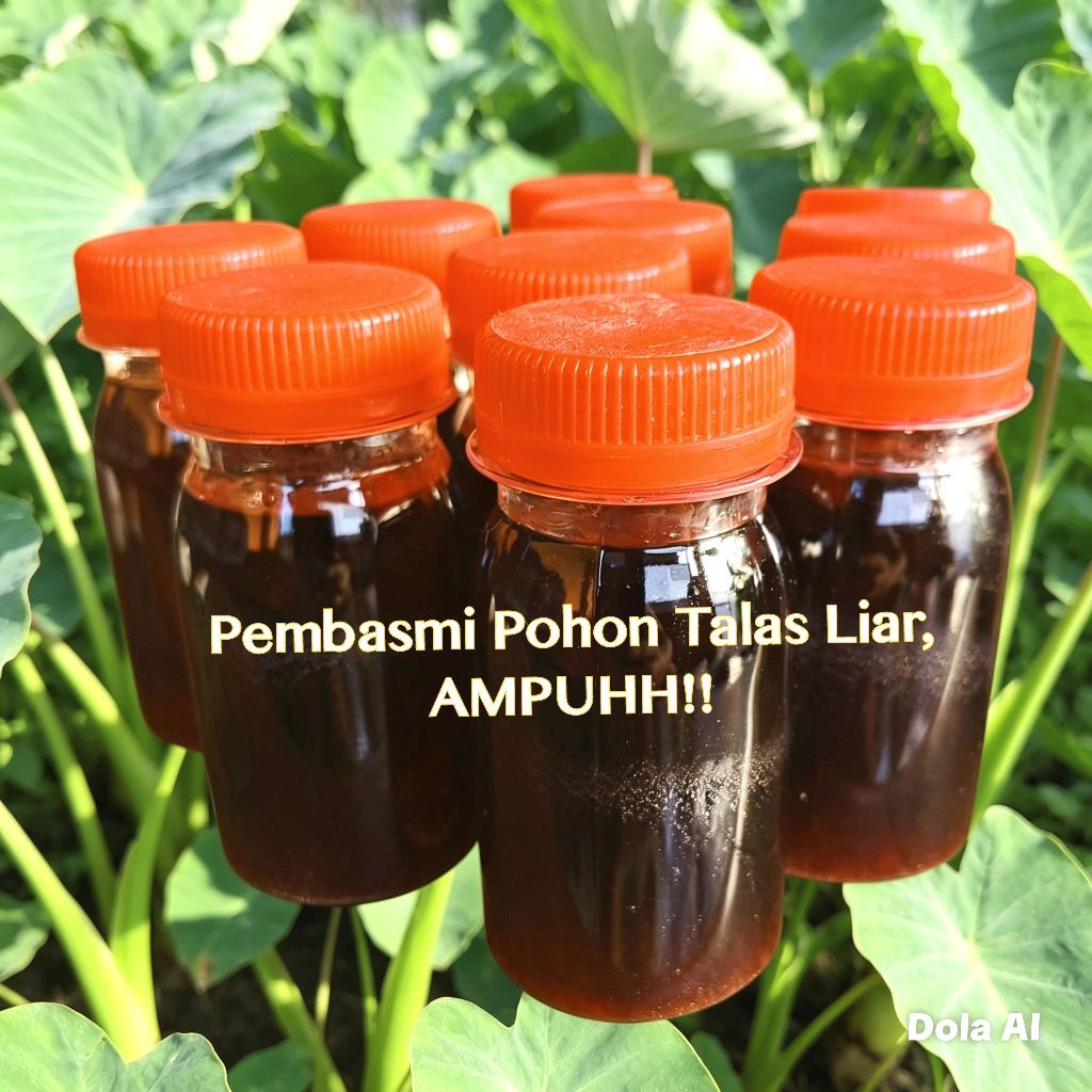 Racun Pohon TALAS Liar & Pohon Pisang Liar