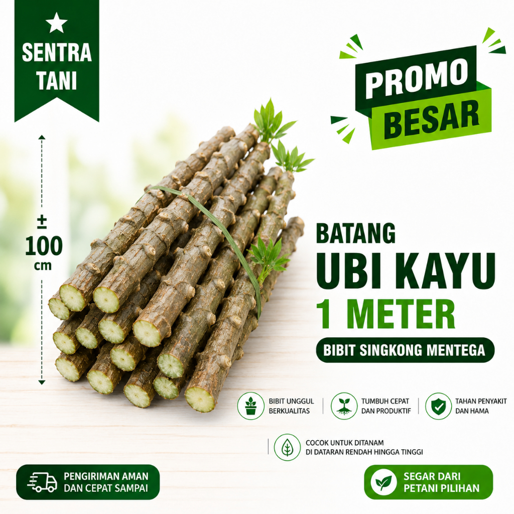 Batang Ubi Kayu 1 Meter - Bibit Dan Pagar Hidup