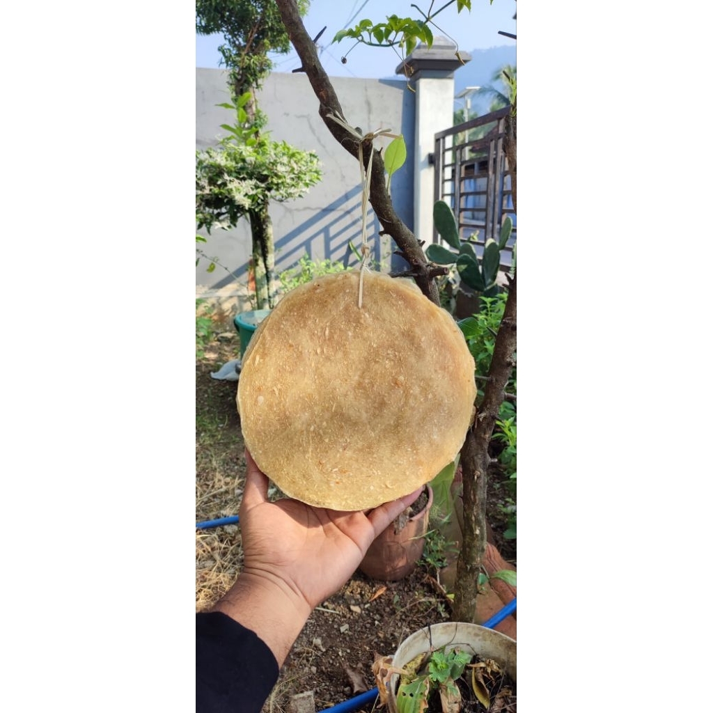 10 Pcs Opak Singkong Jumbo Renyah Gurih Tanpa Pengawet