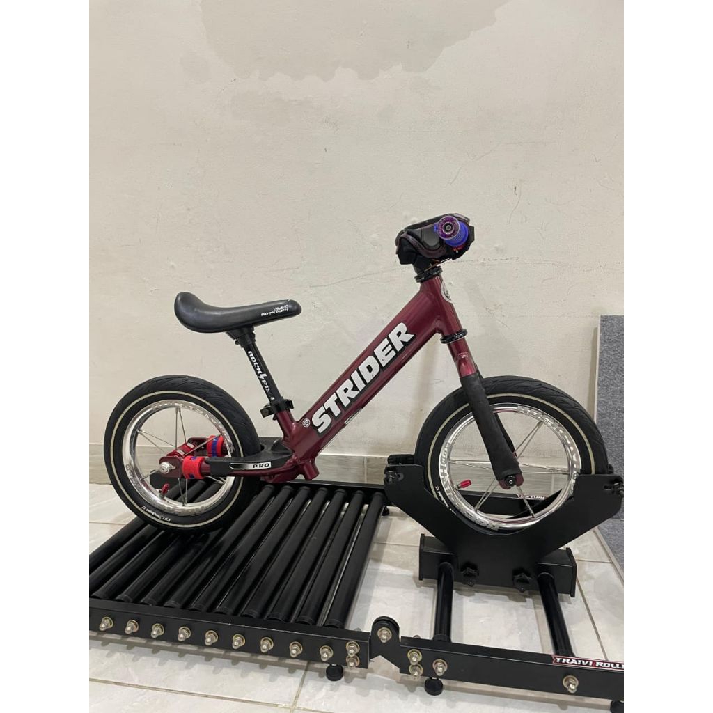 frame strider