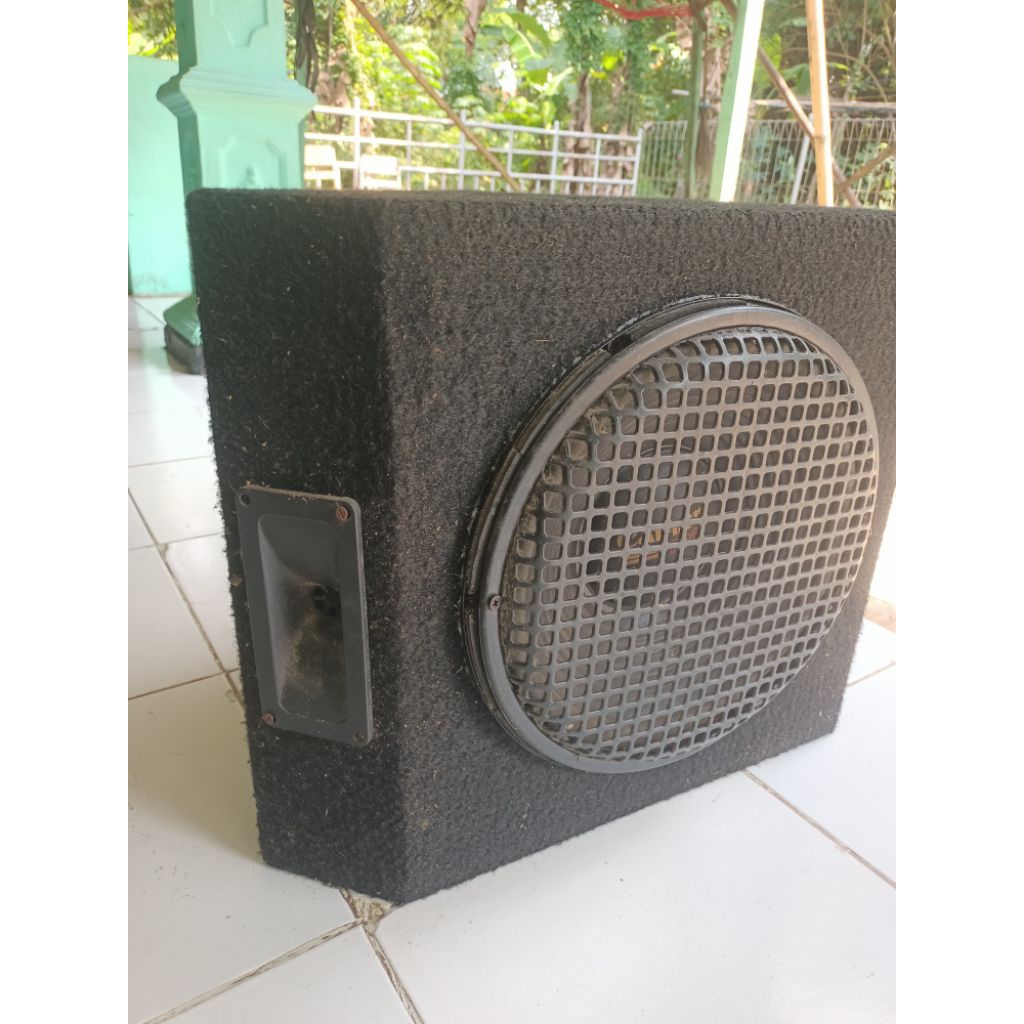 Speaker 12 in + box