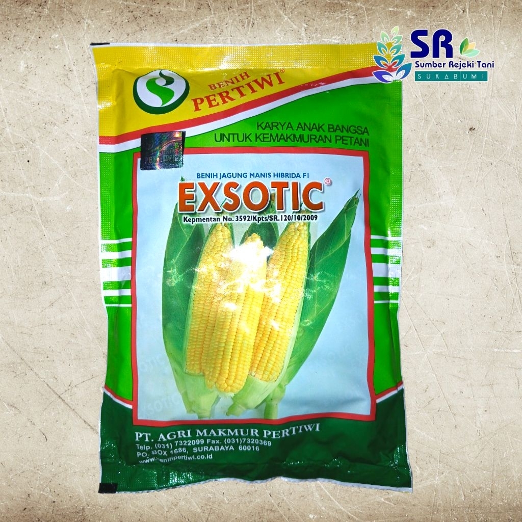Benih Jagung Manis Hibrida Exotic Pertiwi 1750 Butir