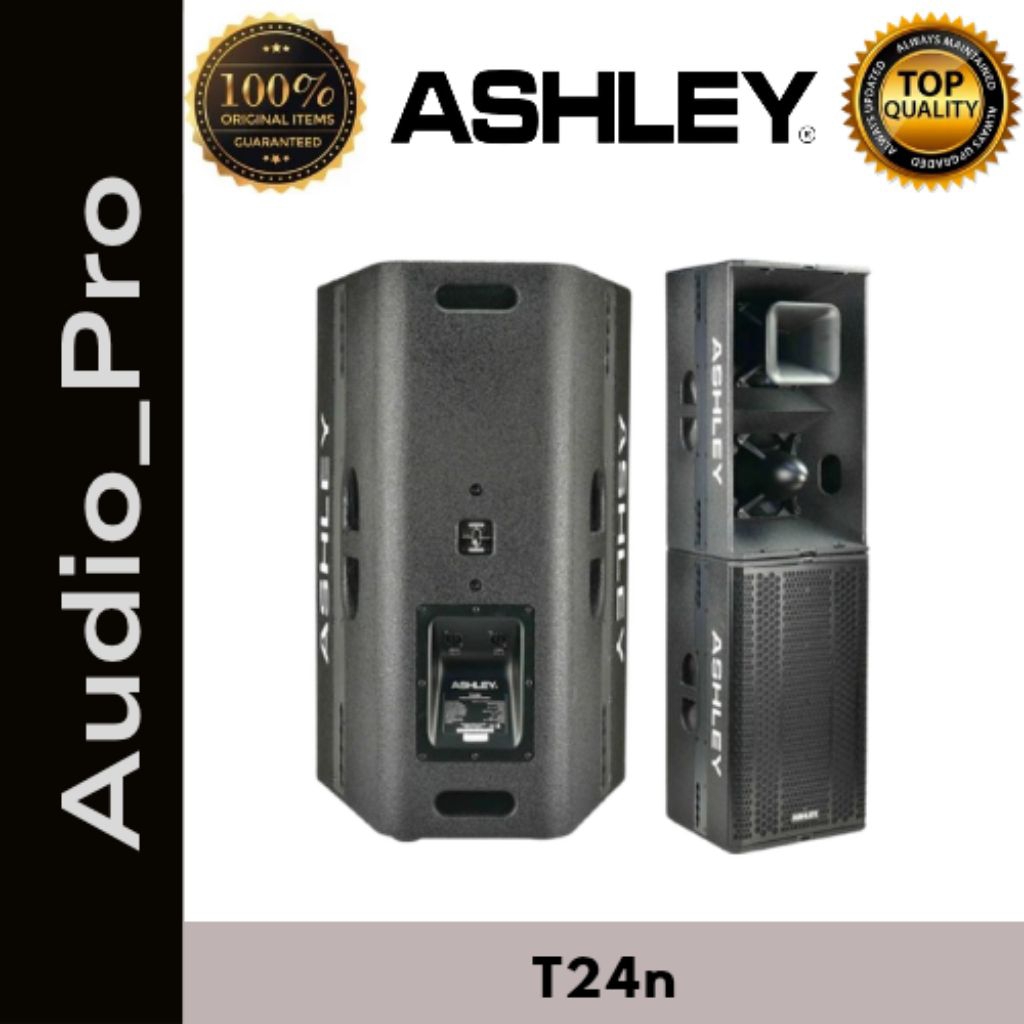 Speaker Pasif Ashley T24n T24n ashley