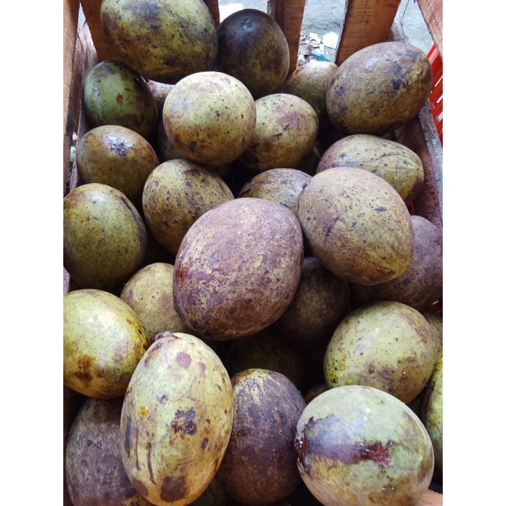 10 KG MANGGA PAKEL SEGAR