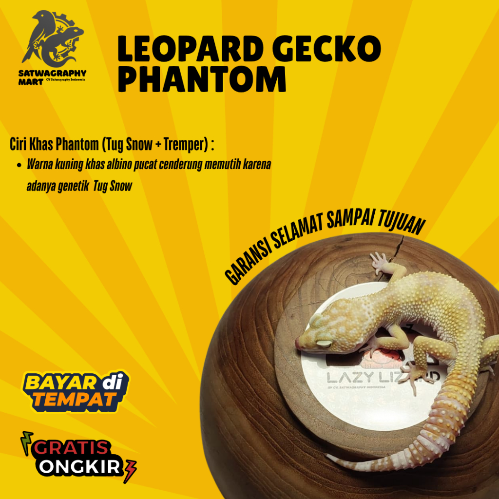 Mainan Anak GECKO Warna PHANTOM, Tug Snow Tremper Albino