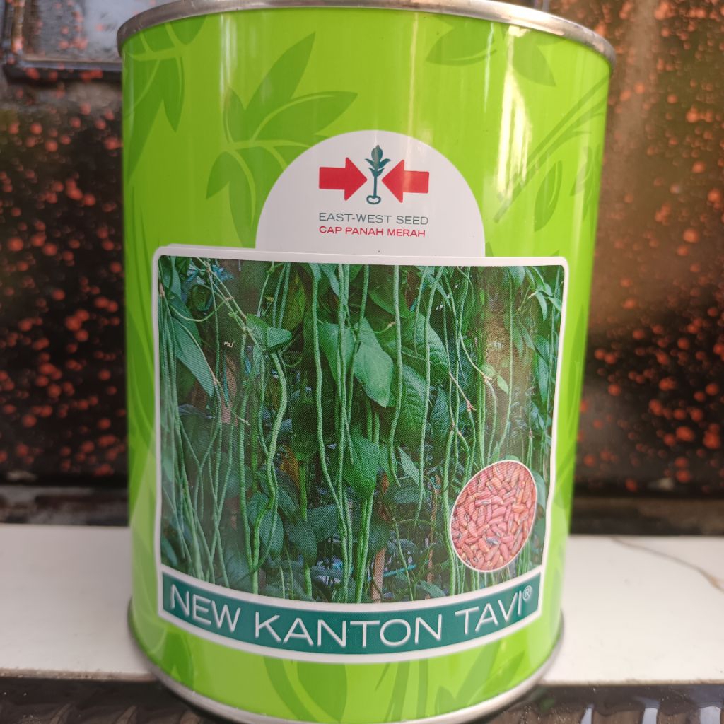 Benih kacang panjang NUW KANTON TAVI kemasan 500gr