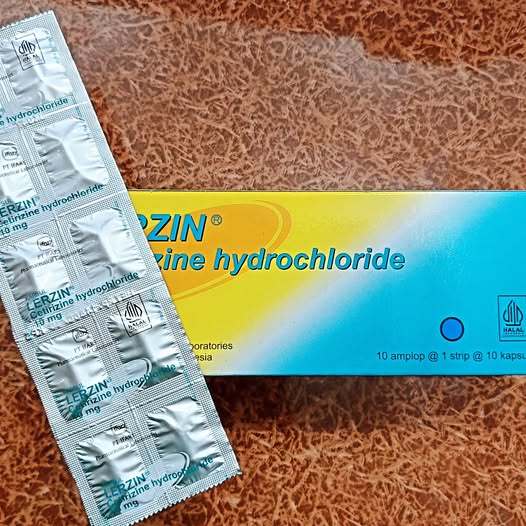 Lerzin Kapsul Tablet 10 Tablet Perstrip
