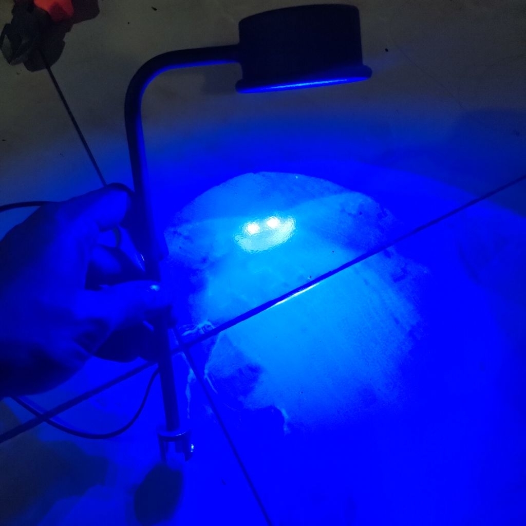 lampu led hpl coral reeftank aquarium laut 5watt super terang