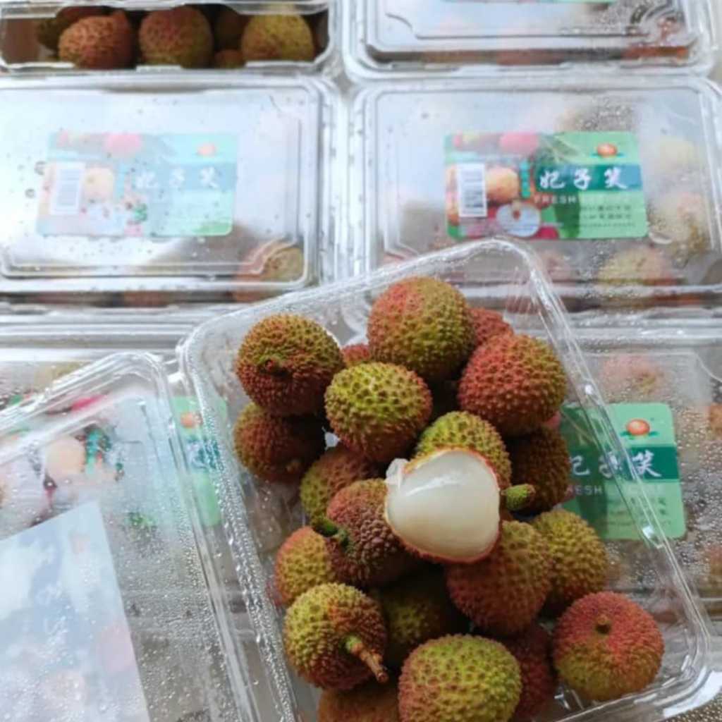 Leci Hijau Madu Pemium Manis Fresh Juicy Green Lychee Import - INSTAN SEMARANG - Dolbuah