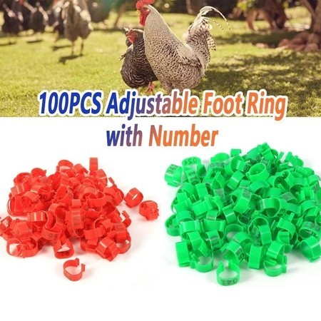 100PCS Ring Kaki Ayam Adjustable Bebek Klip Gelang Unggas Plastik Cincin Kaki Tanda Ring
