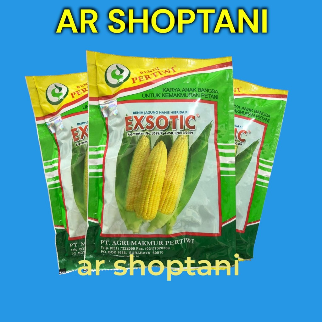 Benih jagung manis EXSOTIC pertiwi F1 jagung manis exotic hibrida seperti bonanza