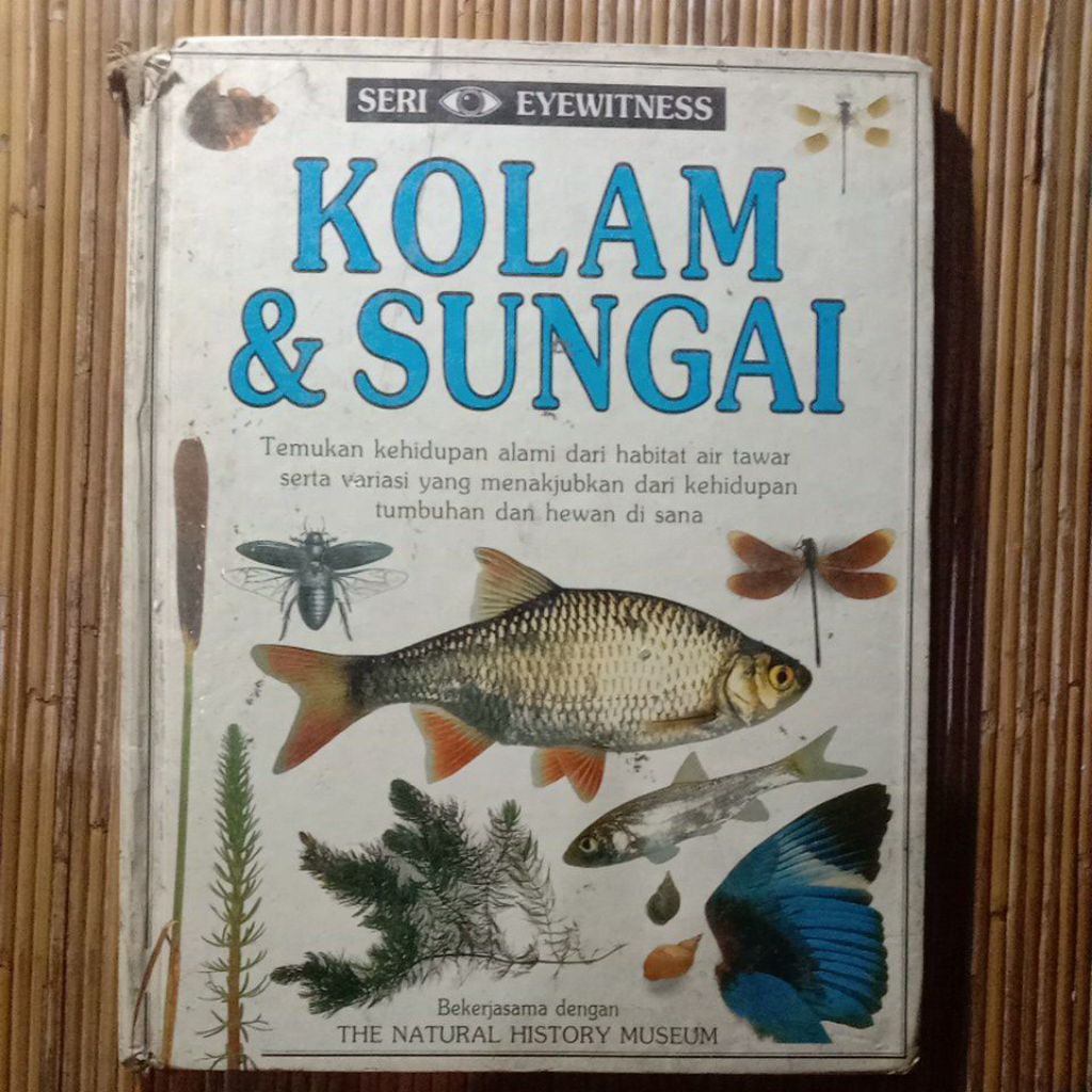 Buku Anak Hardcover Seri Eyewitness - Kolam & Sungai