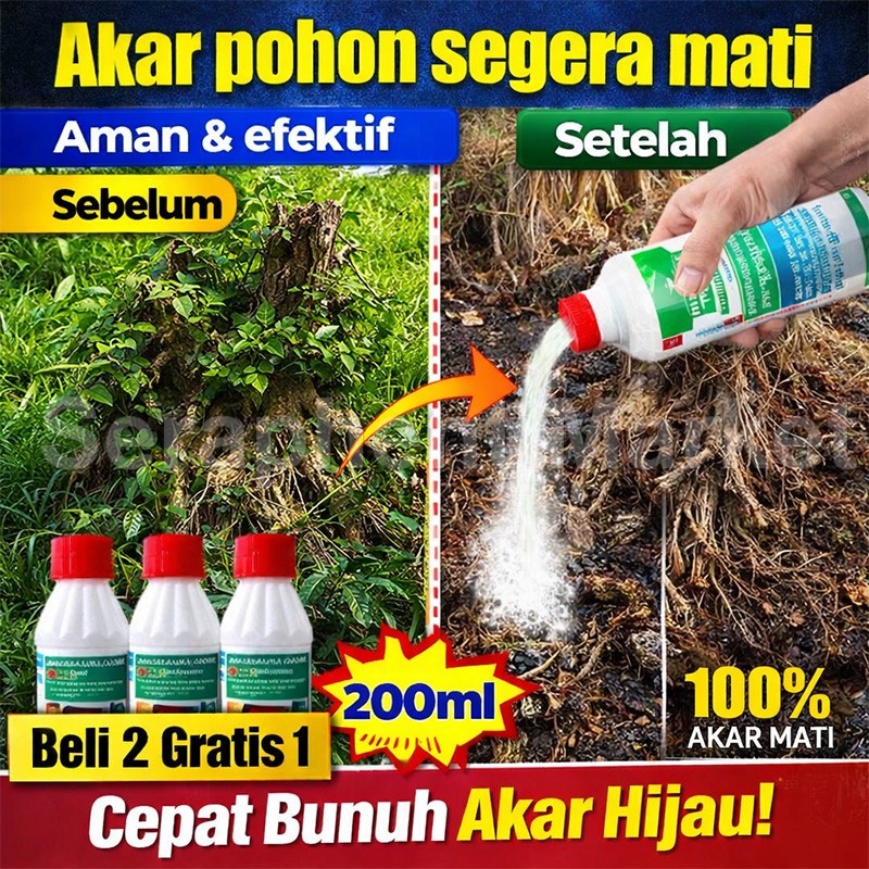 Obat Pembunuh Pohon Besar racun pohon besar paling ampuh obat semprot rumput racun bambu dan pohon b