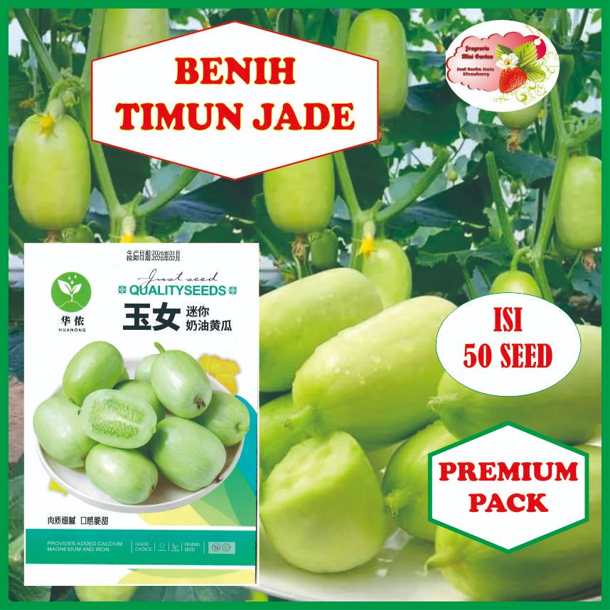 BENIH TIMIUN JADE  TIMUN MINI ISI 50 BIJI
