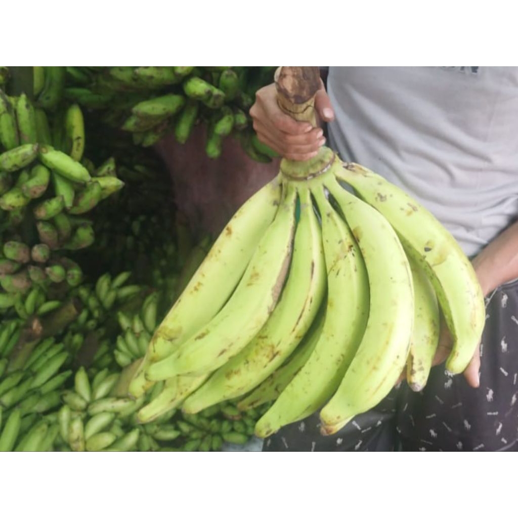 PISANG TANDUK 1KG