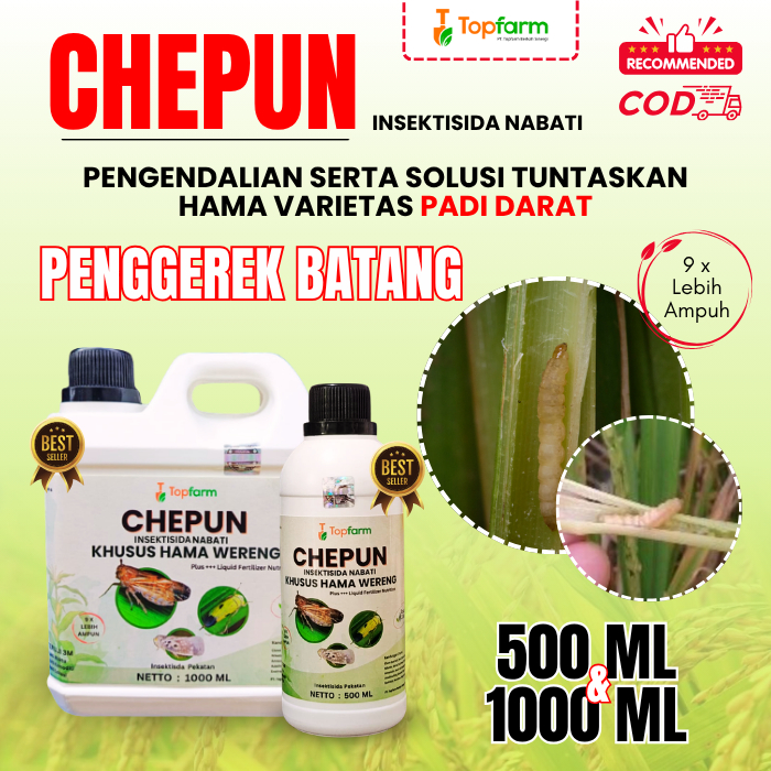 Obat Penggerek Batang Padi Darat / Insektisida Penggerek Batang Padi / Insektisida Topfarm / Insekti