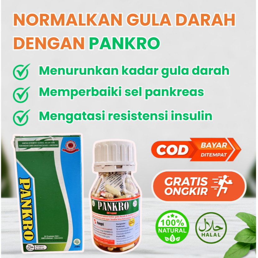 Obat Herbal Diabetes PANKRO Best Seller - Obat Herbal Diabetes Kering / Basah Dijamin Ampuh - Obat P