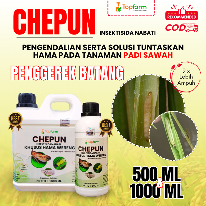 Insektisida Penggerek Batang Padi / Obat Hama Penggerek Batang Padi / Insektisida Topfarm / Pembasmi