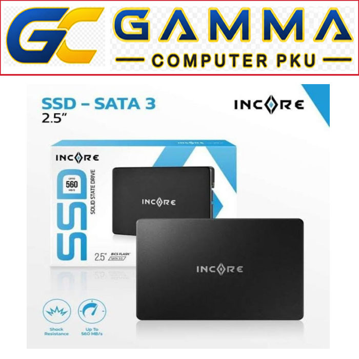 SSD 256GB 512GB 128GB INCORE / SSD INCORE 256GB 512GB 128GB