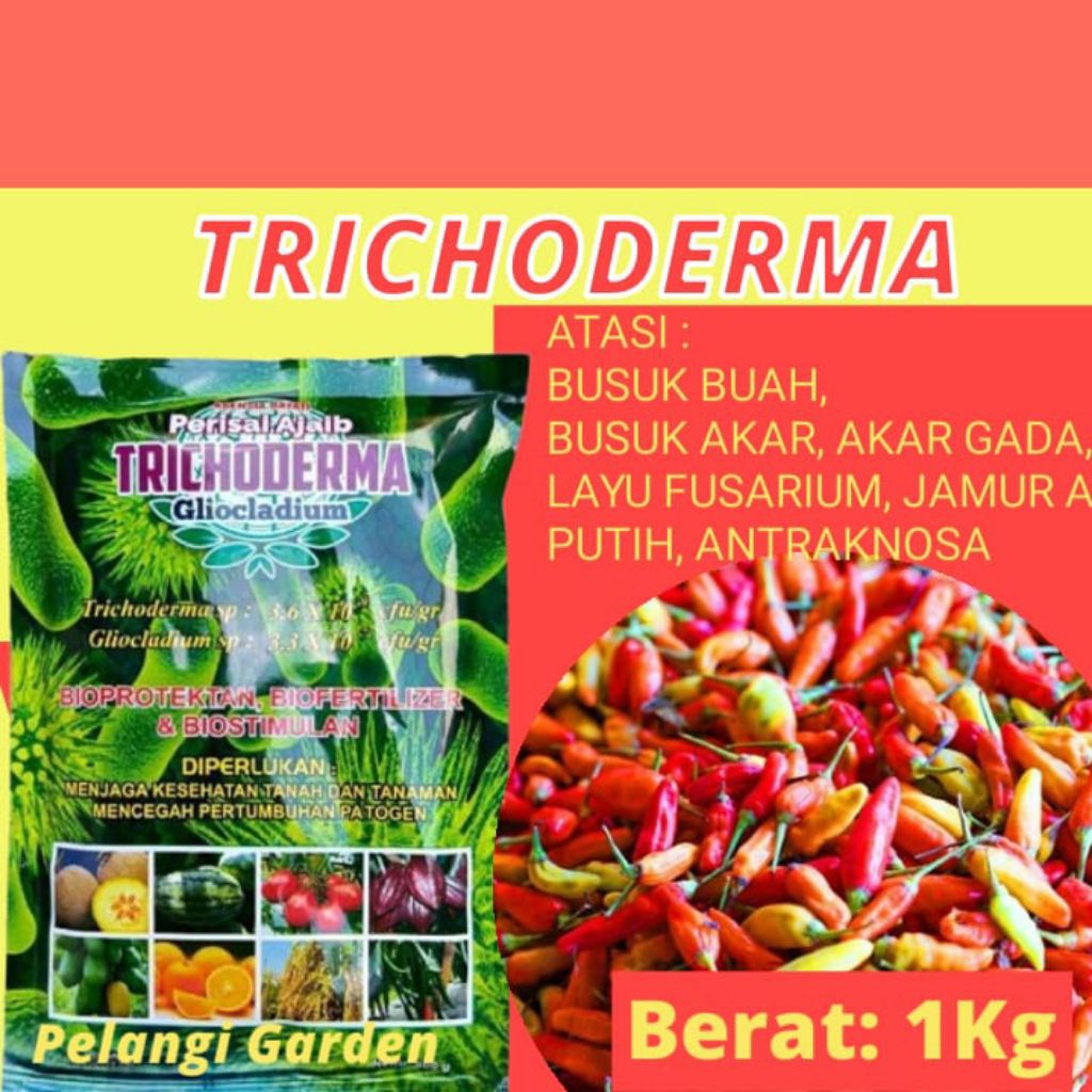 SOLUSI AJAIB  Trichoderma Anfush, Trichoderma Asperellum Isi 500gram