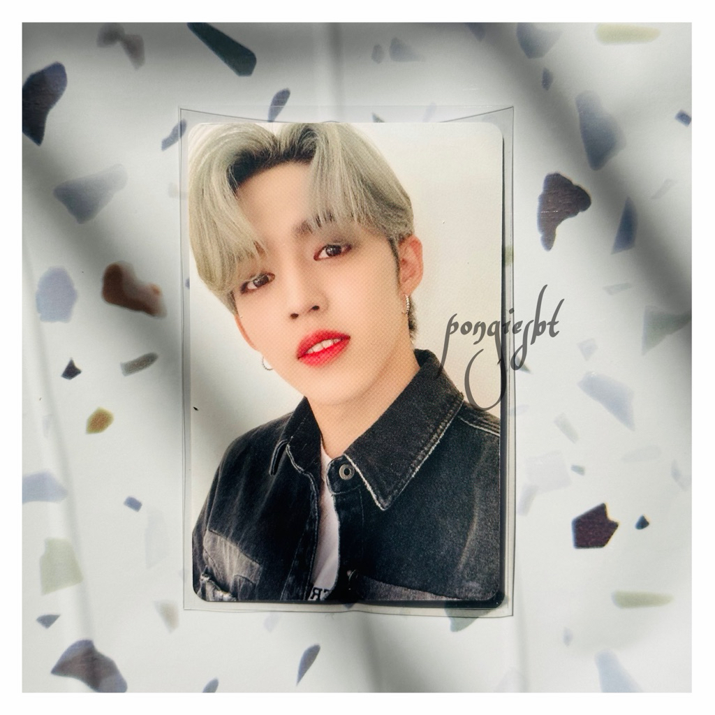 Photocard Official Seventeen Scoups Dicon