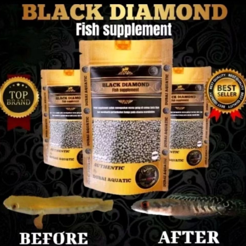 Pelet Black Diamond Mempertegas Bar Menaikan Bunga Pada Maru by Dubai Aquatic