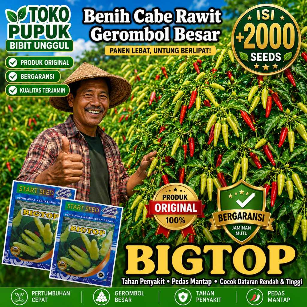 Bibit cabe rawit unggul BIGTOP bibit cabe rawit kaliber unggul benih cabe tahan virus