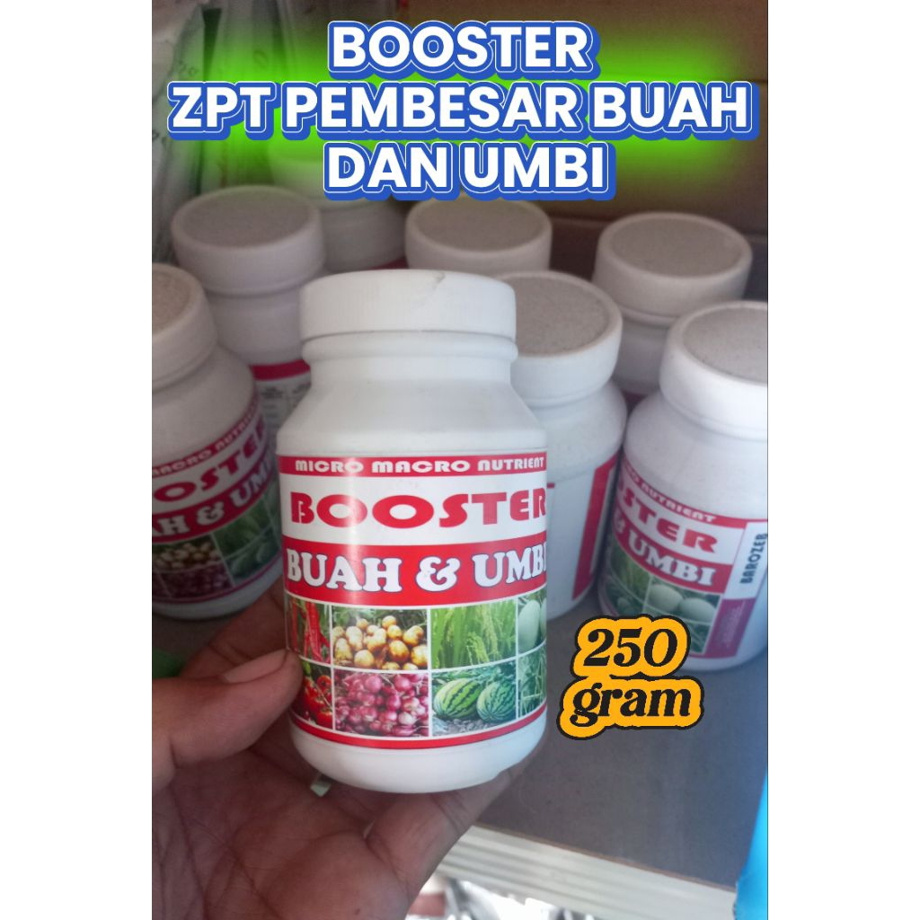 BOOSTER ZPT PEMBESAR BUAH DAN UMBI KEMASAN 250 GRAM