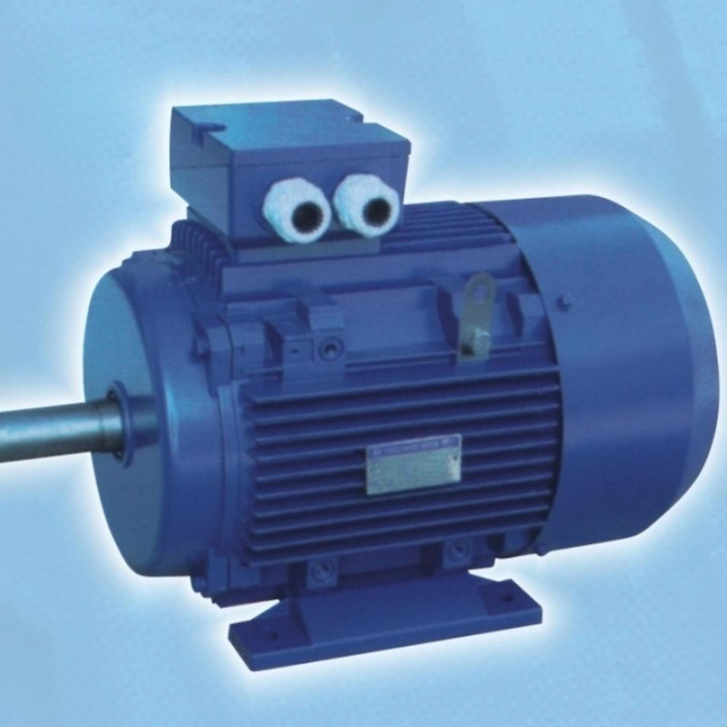 ELECTRIC MOTOR BOLOGNA 4P 4HP 3KW 380V 3Phase B3
