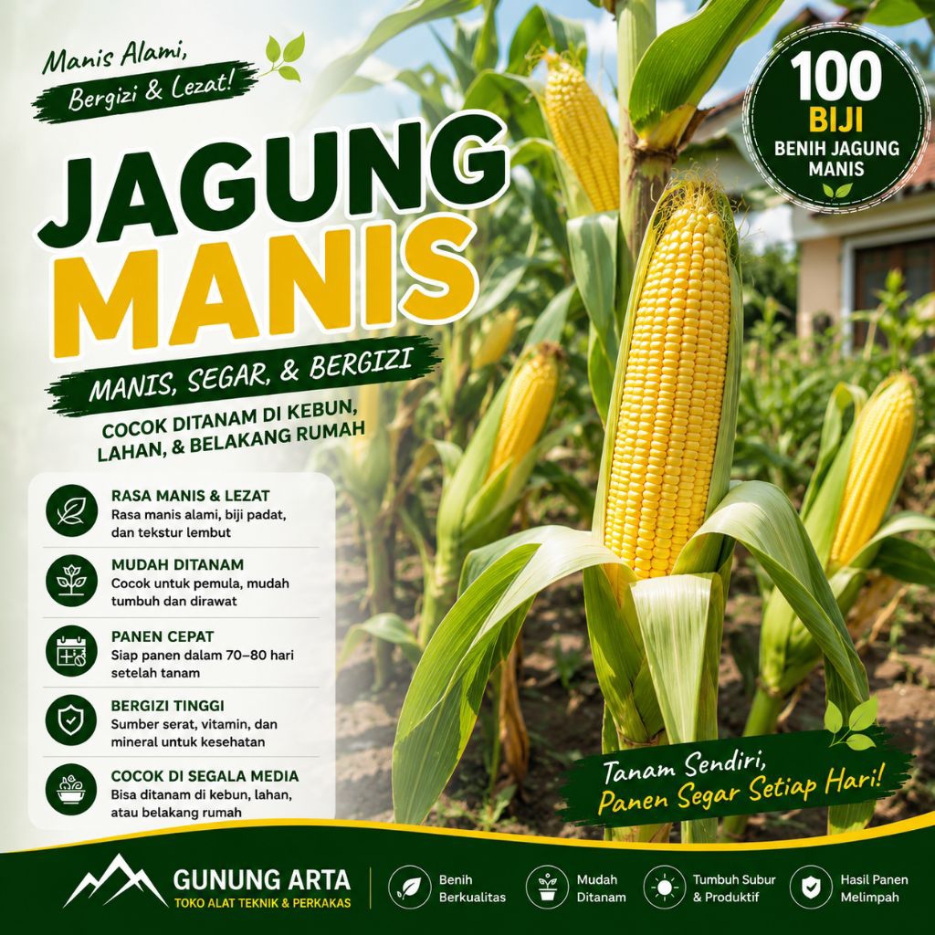 100 Biji Bibit Benih Jagung Manis Bibit Sweet Corn Jagung Super Manis Cepat Panen