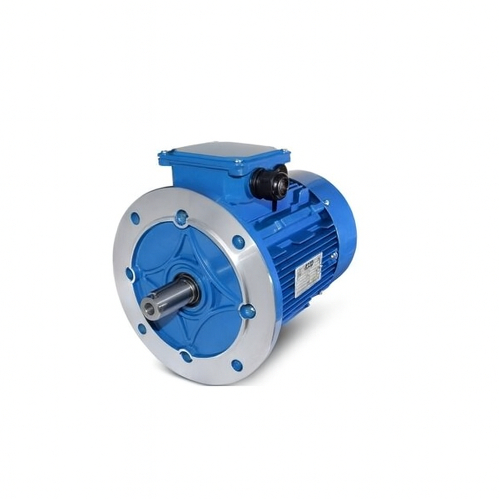 ELECTRIC MOTOR BOLOGNA 4P 40HP 30KW 380V 3Phase B5