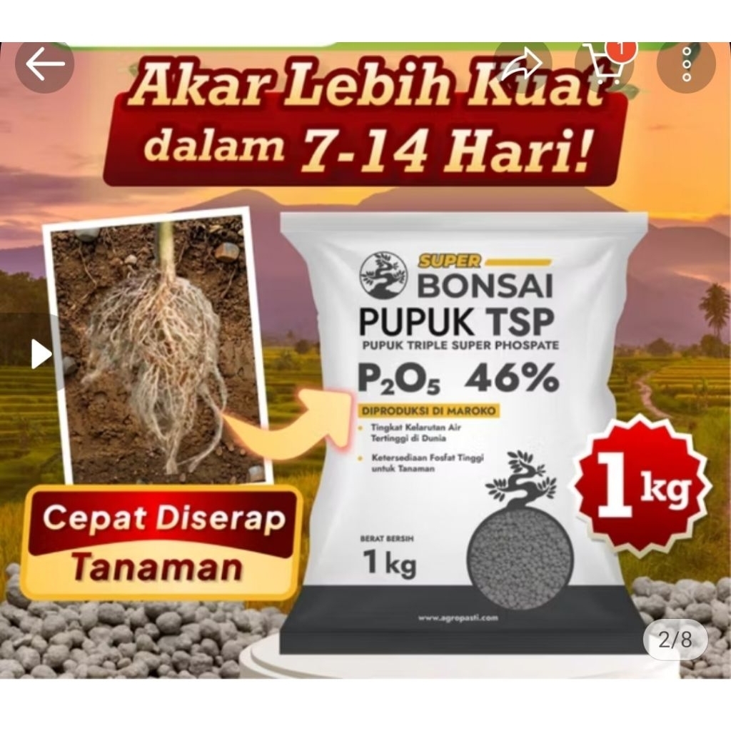 Pupuk TSP Super Bonsai 1 kg dengan Kandungan Fosfat 46% untuk Pertumbuhan Optimal