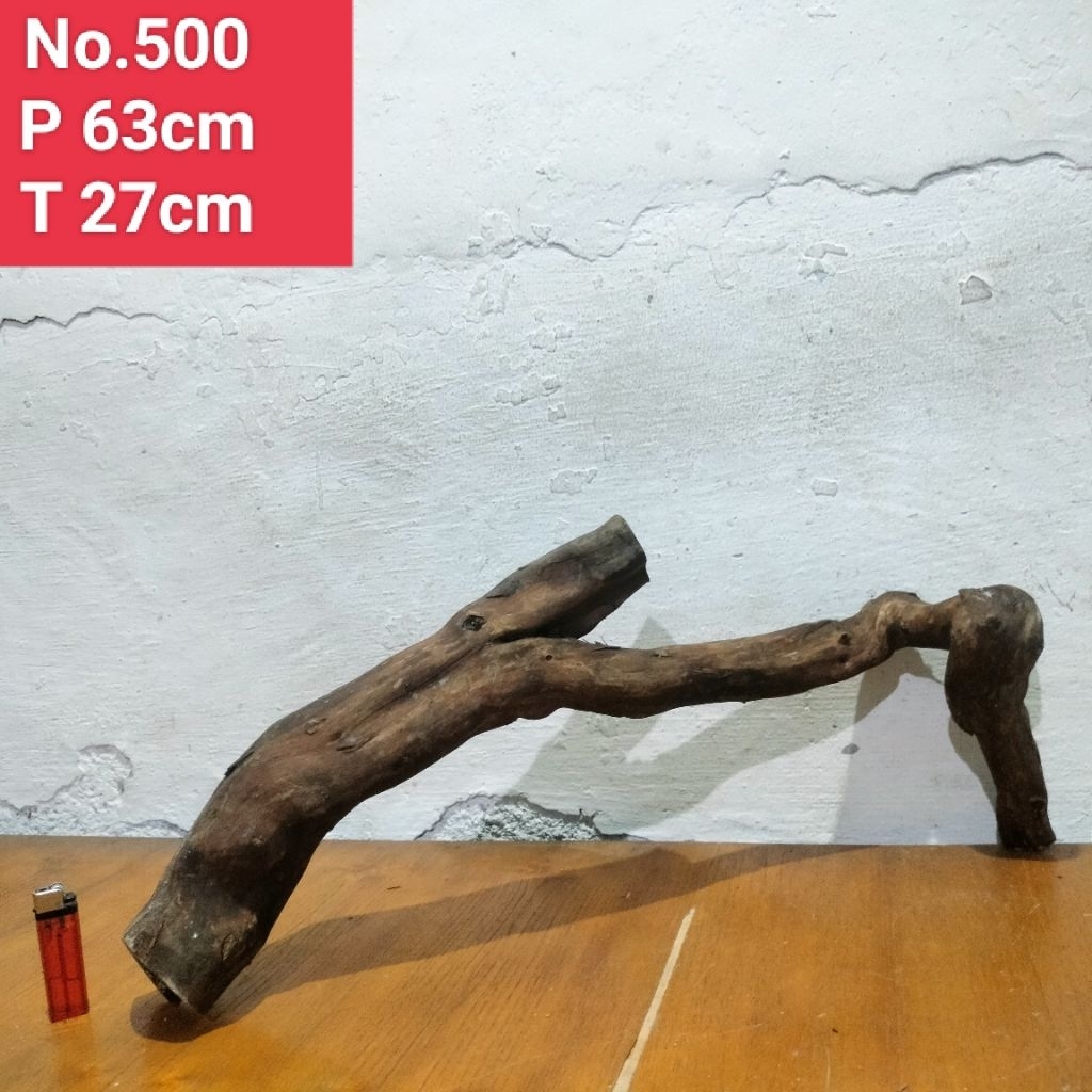 akar santigi laut kayu santigi laut akar dekorasi aquarium aquascape 500