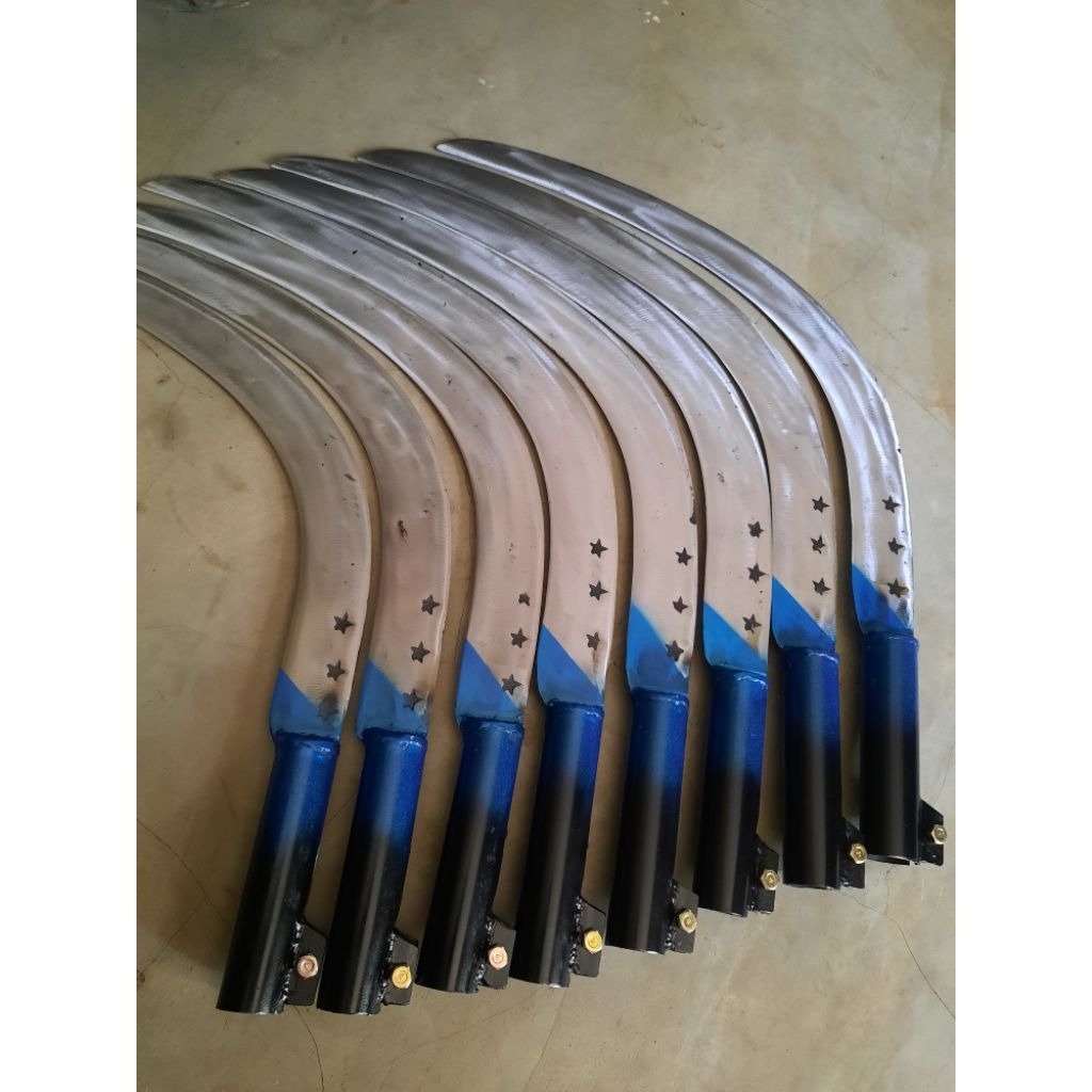 EGREK KOLONGAN BINTANG MEDAN