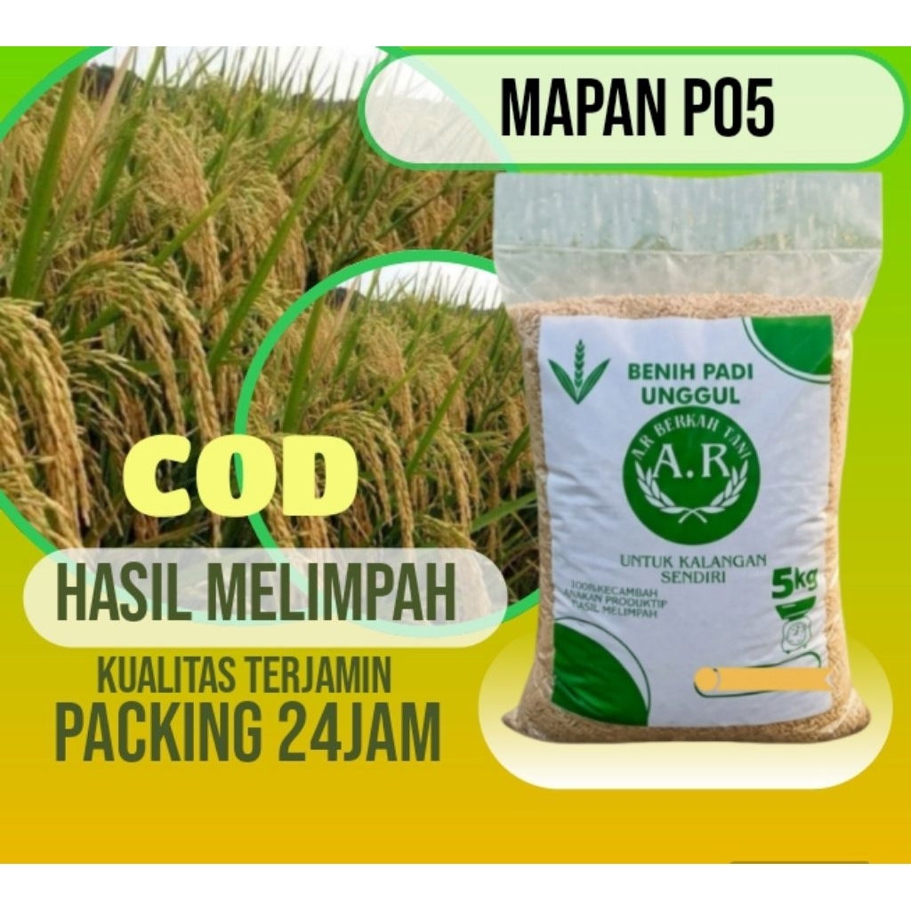 MAPAN P05 BIBIT PADI UNGGUL BENIH PADI BERKUALITAS KEMASAN 5KG