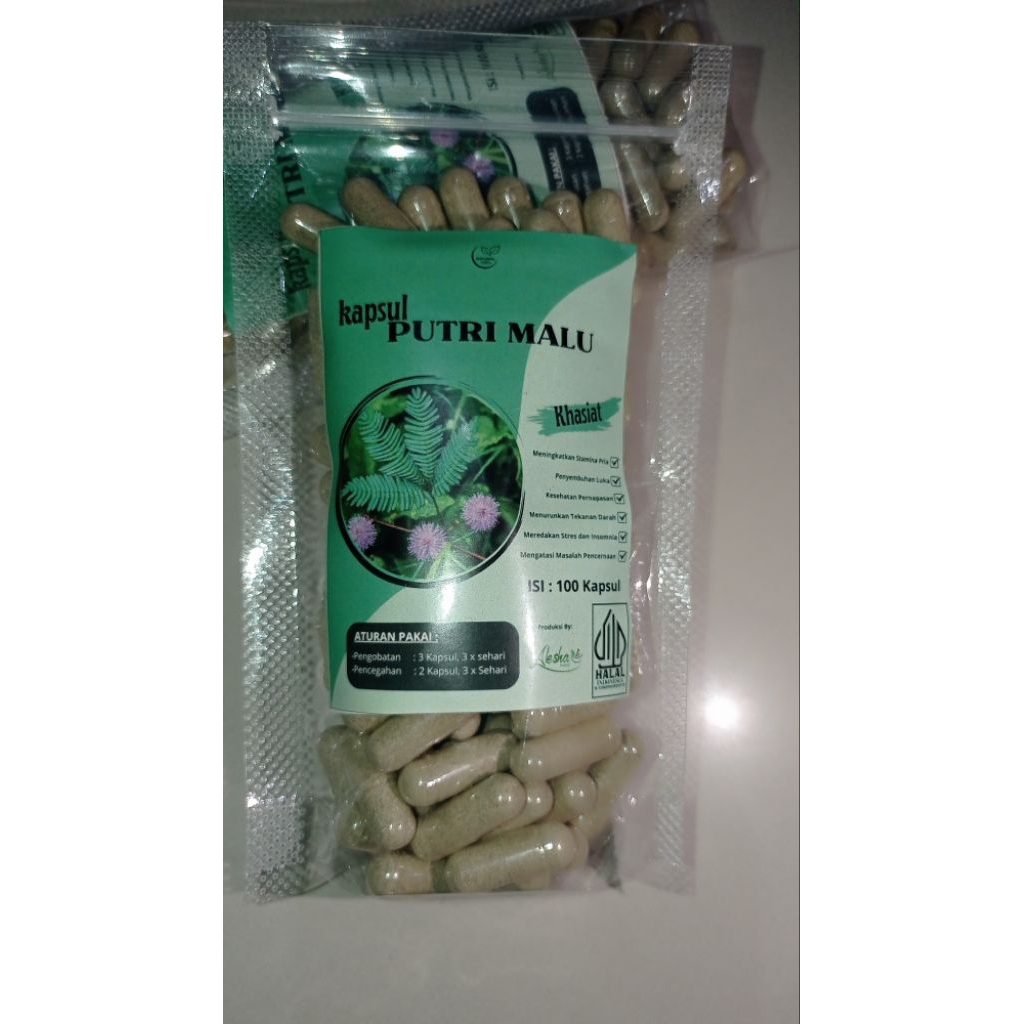 kapsul putri malu murni isi 100