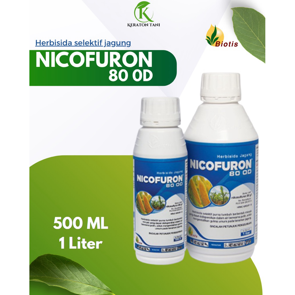 Herbisida Jagung NICOFURON 80 OD - Racun rumput tanaman jagung