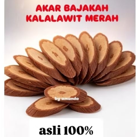 AKAR BAJAKAH KALALAWIT MERAH