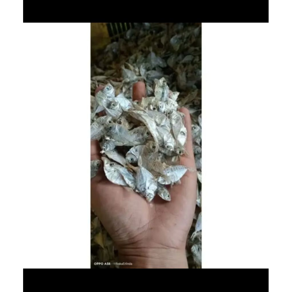 ikan petek kering tawar/ikan petek kempar kering super 500g
